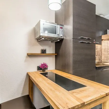 Apartment Studio Centre With Mont-blanc View *
